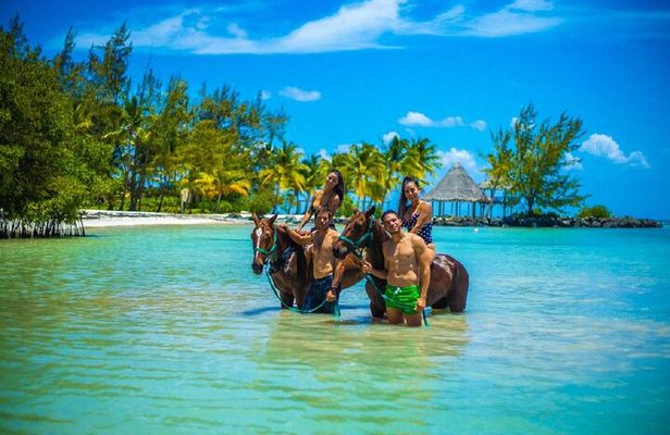  Swimming with Horses at the Beach from Punta Cana Free transportation