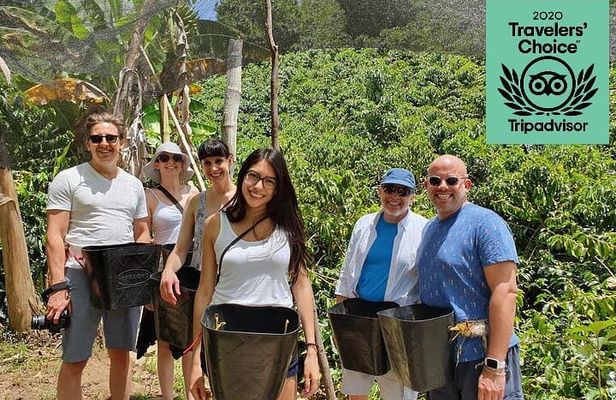 Full-Day Private Guatape Coffee Villa Tour from Medellin