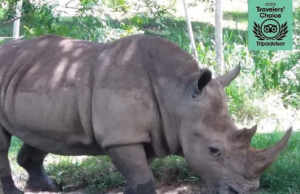 Pablo Escobar private zoo La Hacienda Napoles Tour