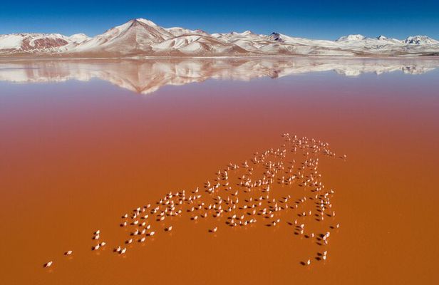 3-Days Tour to the Uyuni Salt Flat and Colored Lagoons +Sunset+Mirror Effect