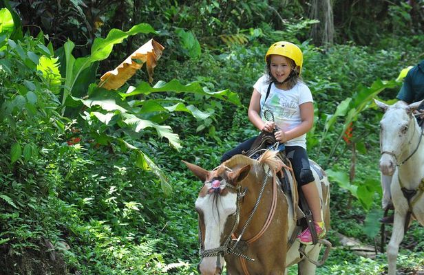 Horseback Riding through the Jungle