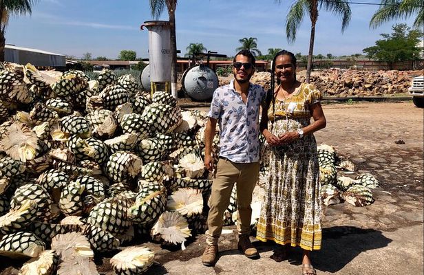 Tequila: Private Half-Day Tour