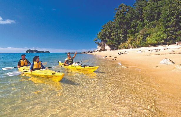 Seal Sanctuary Tour - Guided Kayaking - New Zealand