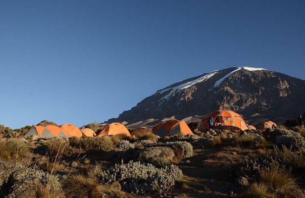 7-Day Kilimanjaro Hiking Tour via Machame Route