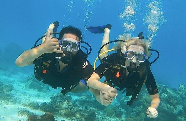 Romantic Dive for beginners in Bora Bora (2 people) with Video