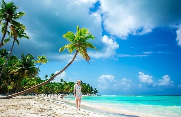 Catalina Island and Bayahibe Snorkel Tour