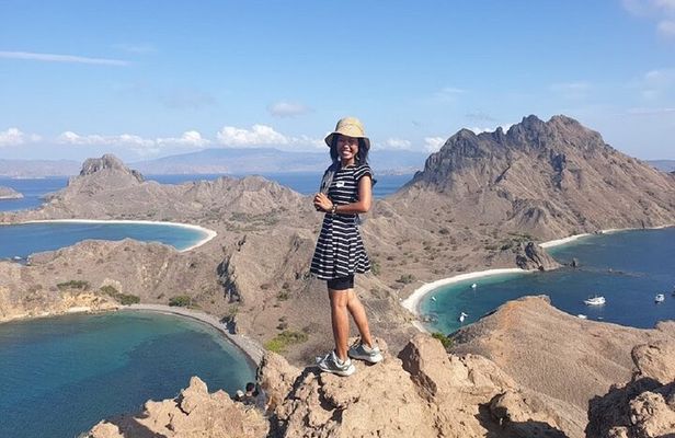 1- day Komodo island Tour hopping around by Speed Boat