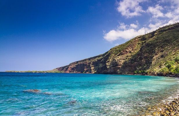Kona Coast Cruise: Snorkel Kealakekua Bay & Dolphin Encounter