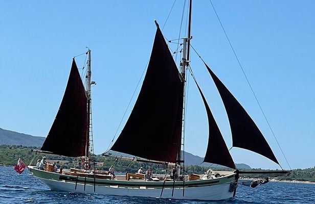 Sailing day trip on Tall Ship Andrea Jensen with Lunch and Wine