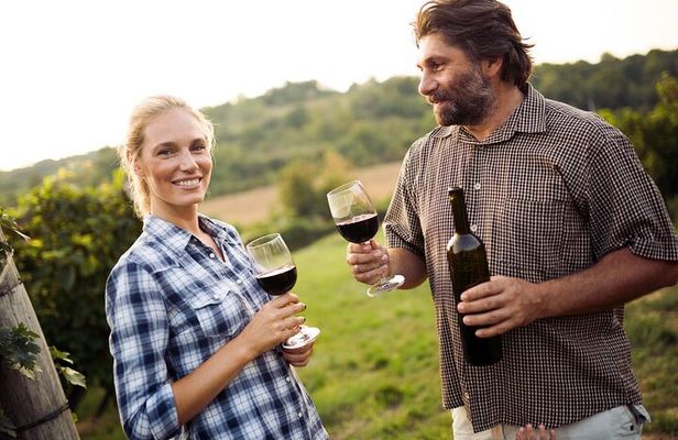 Full-Day Group Wine Tour (with cheese and charcuterie) in Niagara-on-the-Lake