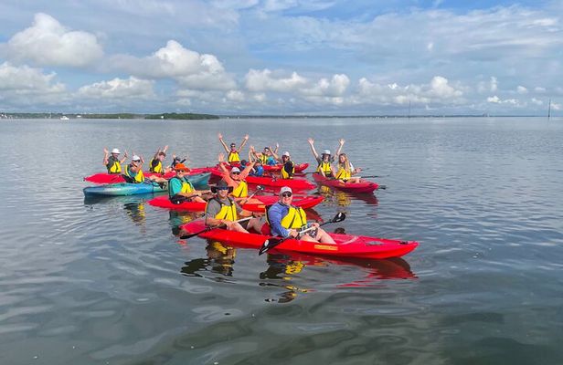 Indian River Clear Bottom Kayak or Paddleboarding Manatee and Dolphin Tour 