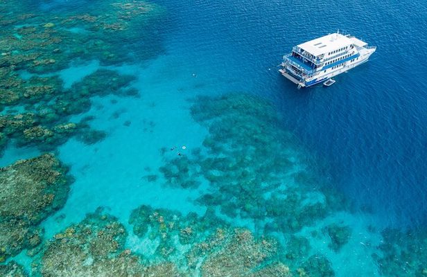2-Day Snorkelling Experience - Great Barrier Reef Twin Share