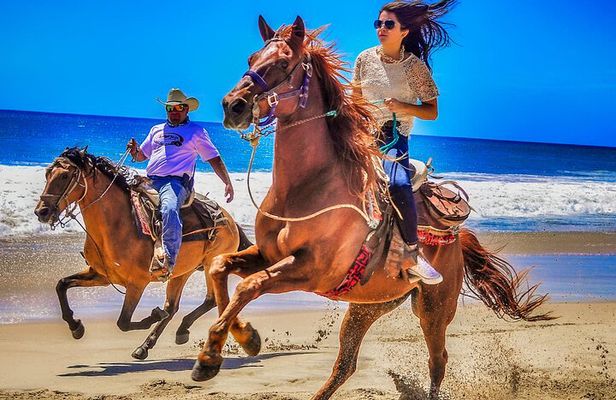 Migriño Beach Horseback Riding Experience