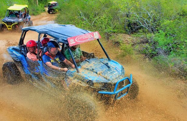 Half-day Wild Desert Polaris Razor UTV Tour