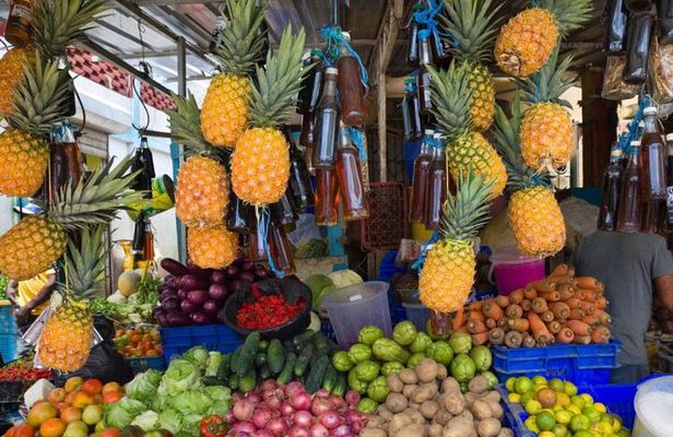 Half Day Dominican Republic Cultural Tour : Small Group