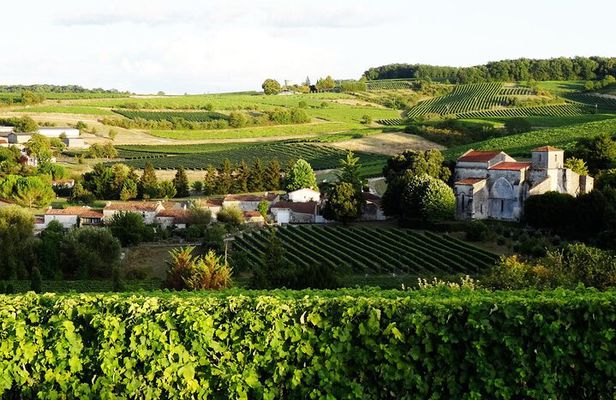 Half-day Guided E-Bike Ride to Discover The Cognac Vineyard