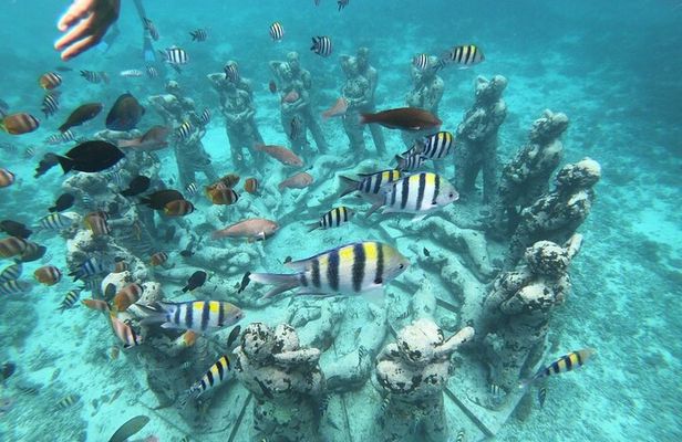 Gili Trawangan,Gili Meno& Gili Air Island:Snorkeling Day Trip Depart from Lombok