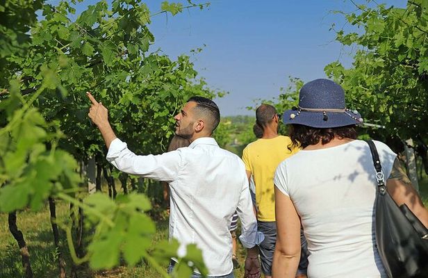 Biodynamic Farm and Natural Wines Tasting in Lazise