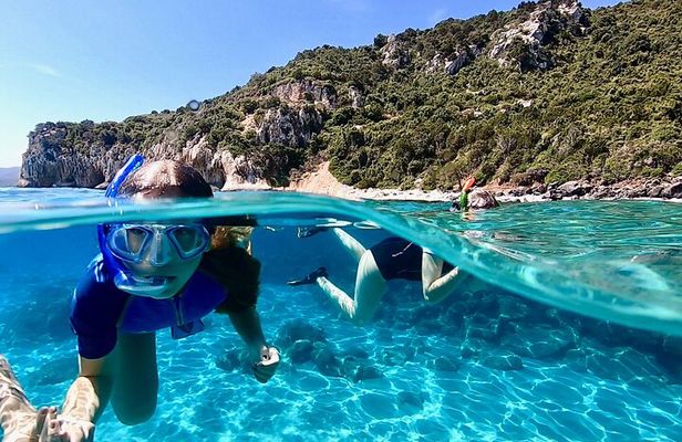 Snorkeling Experience to discover the dolphin inside you!