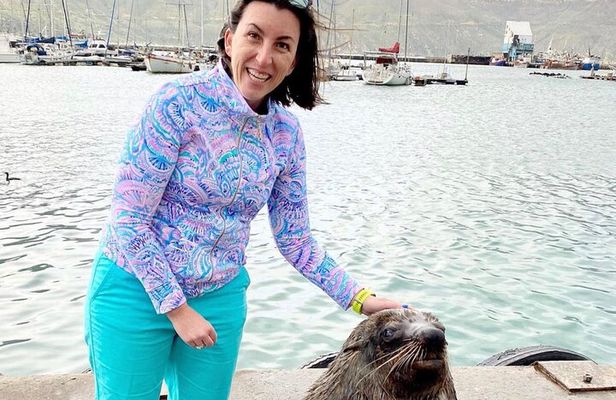  Seal Island, World of Birds and Cape City Center Tour.