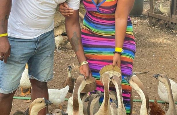 Animal Farm (Mini Zoo) , Bamboo Rafting and Limestone Massage Private Tour
