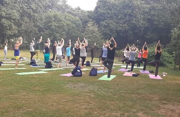 Yoga Tour To India