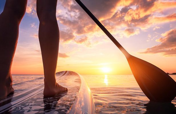 Charleston/Folly Beach Stand up Paddleboard Tour