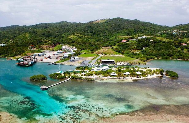 Mangrove Tunnel, Garifuna village,food tasting,wildlife encounter