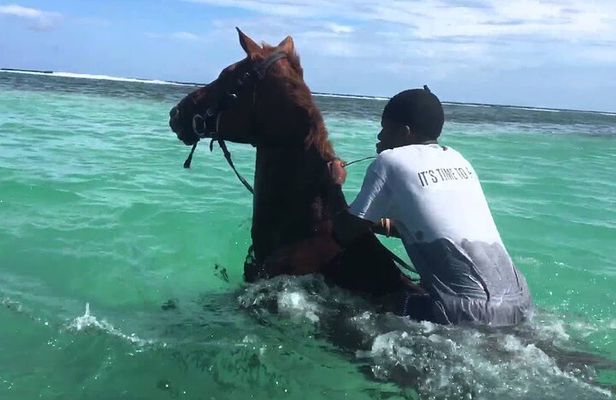 Martha Brae Rafting, Horseback Riding and Luminous Lagoon - Triple Treat