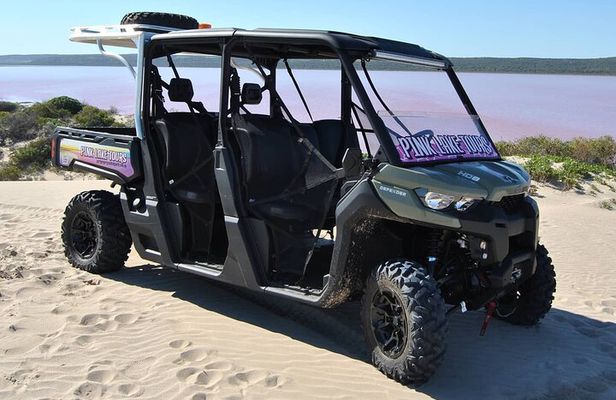 Pink Lake Small-Group Buggy Tour
