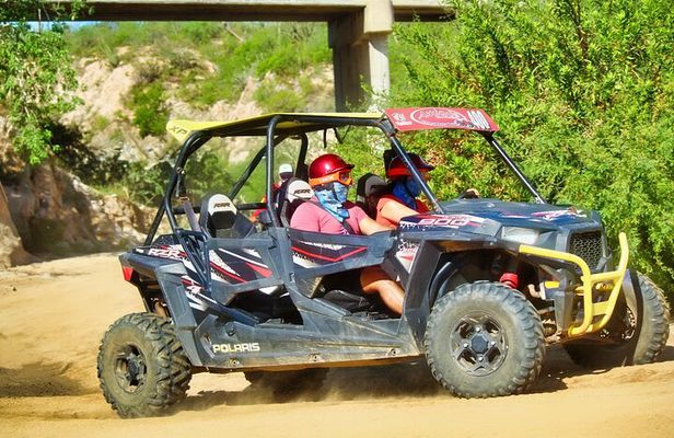 Beach and Desert UTV with Horseback Riding Experience