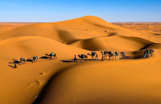 Overnight Sahara Tour from Marrakech to Mhamid