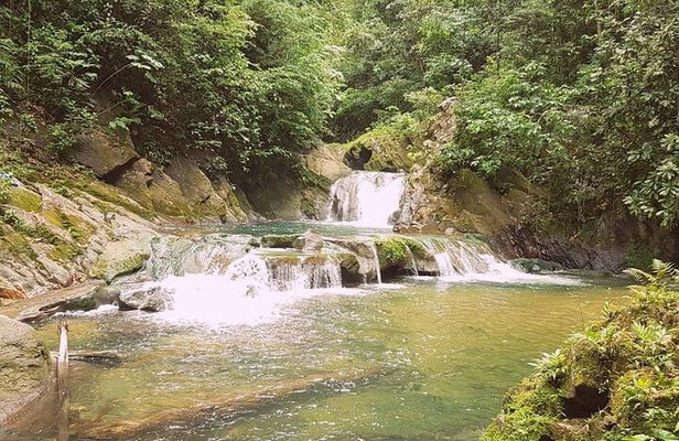 Aripo Waterfall Adventure