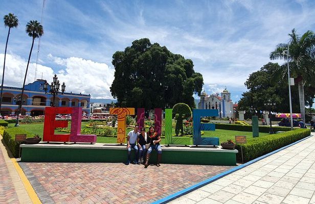 Tule, Mitla & Hierve el Agua Full-Day Tour with Certified Guide