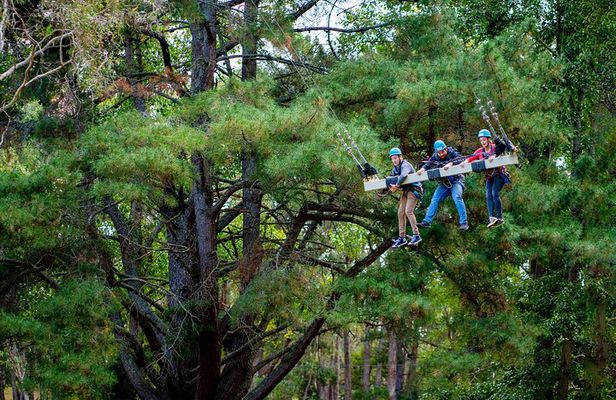 Rock Climb, Zipline and Mega Swing Experience
