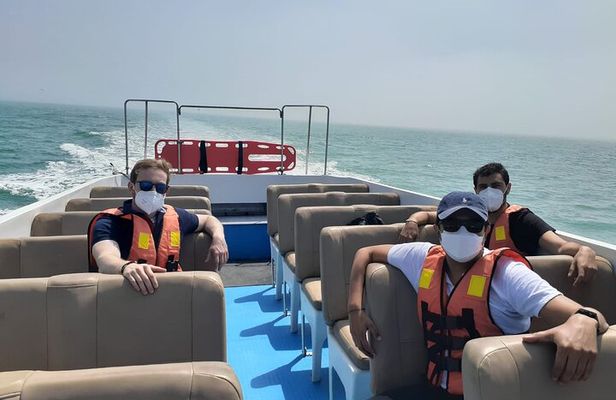 Private Tour to spot Sea Lions in Palomino Islands From Lima