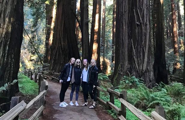 Muir Woods and Golden Gate Bridge 3-hour Private Group Tour