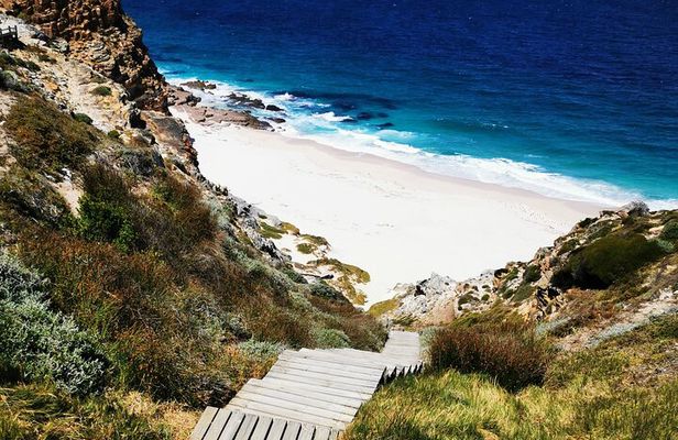 Cape Point Xplorer