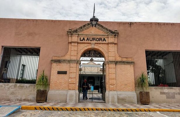 Arts and Snacks Walking Tour with Taste of San Miguel