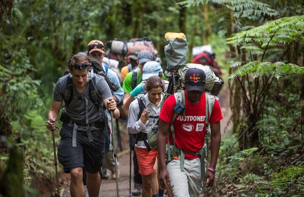 7 Day Rongai Kilimanjaro Summit
