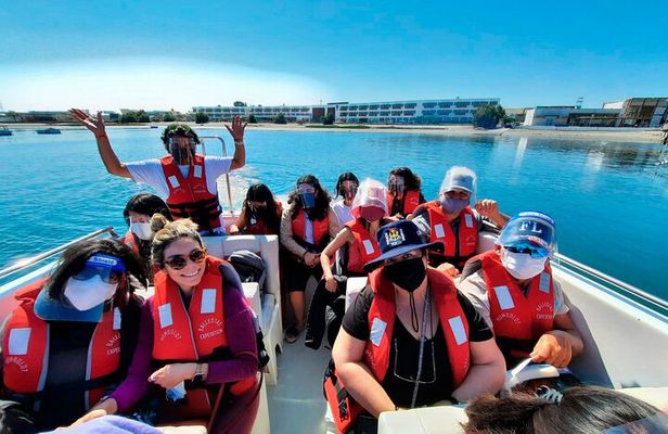 Visit to Paracas, Ballestas Islands and Huacachina