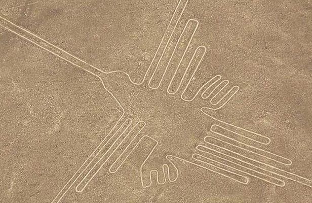 The Nazca Lines, Paracas & Huacachina Oasis (2D/1N) Private Trip