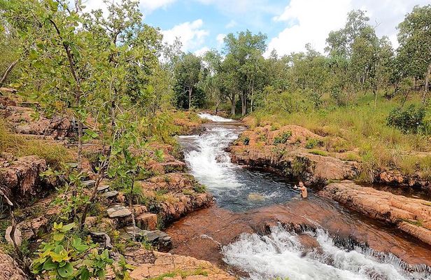 ETHICAL ADVENTURES - 1 Day premium Litchfield tour, Max 10 guests