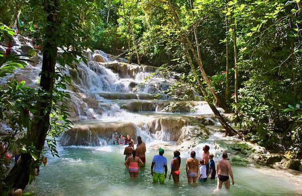 Private Dunn's River Falls Adventure from Montego Bay