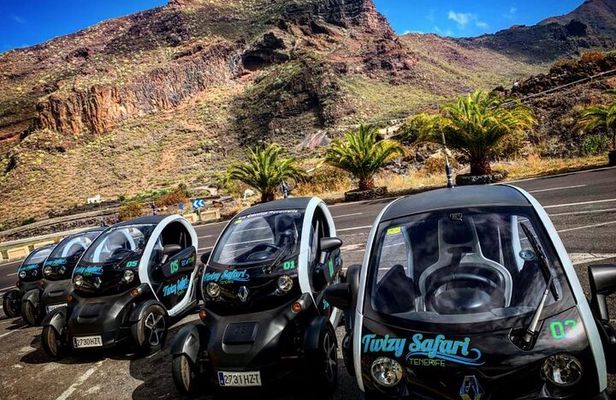 4 Hours Eco Safari Tour with Electric Car in Tenerife
