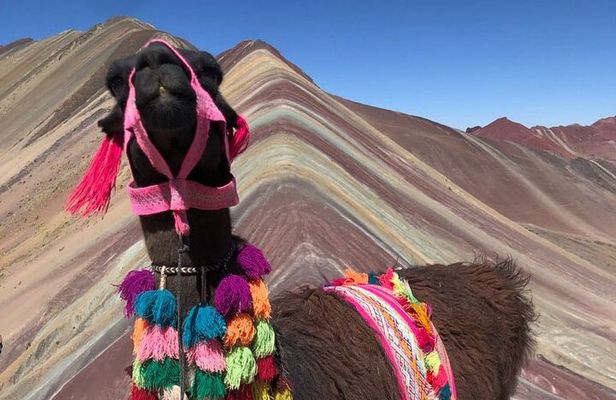 5-Day Cusco Adventure: Machu Picchu, Vinicunca & Singrenacocha