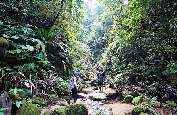 Private Active 4 Day Amazon Adventure