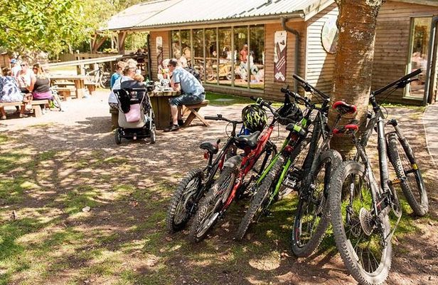 E-Bike Half-Day Trip to Harrys Rock or Corfé Castle