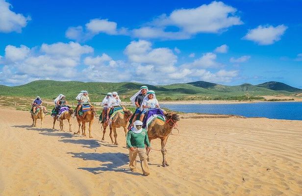 Camel Ride & ATV Combo in Migriño, Mexico
