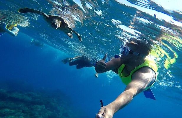 Snorkeling Tour in Caño Island with Lunch from Drake Bay